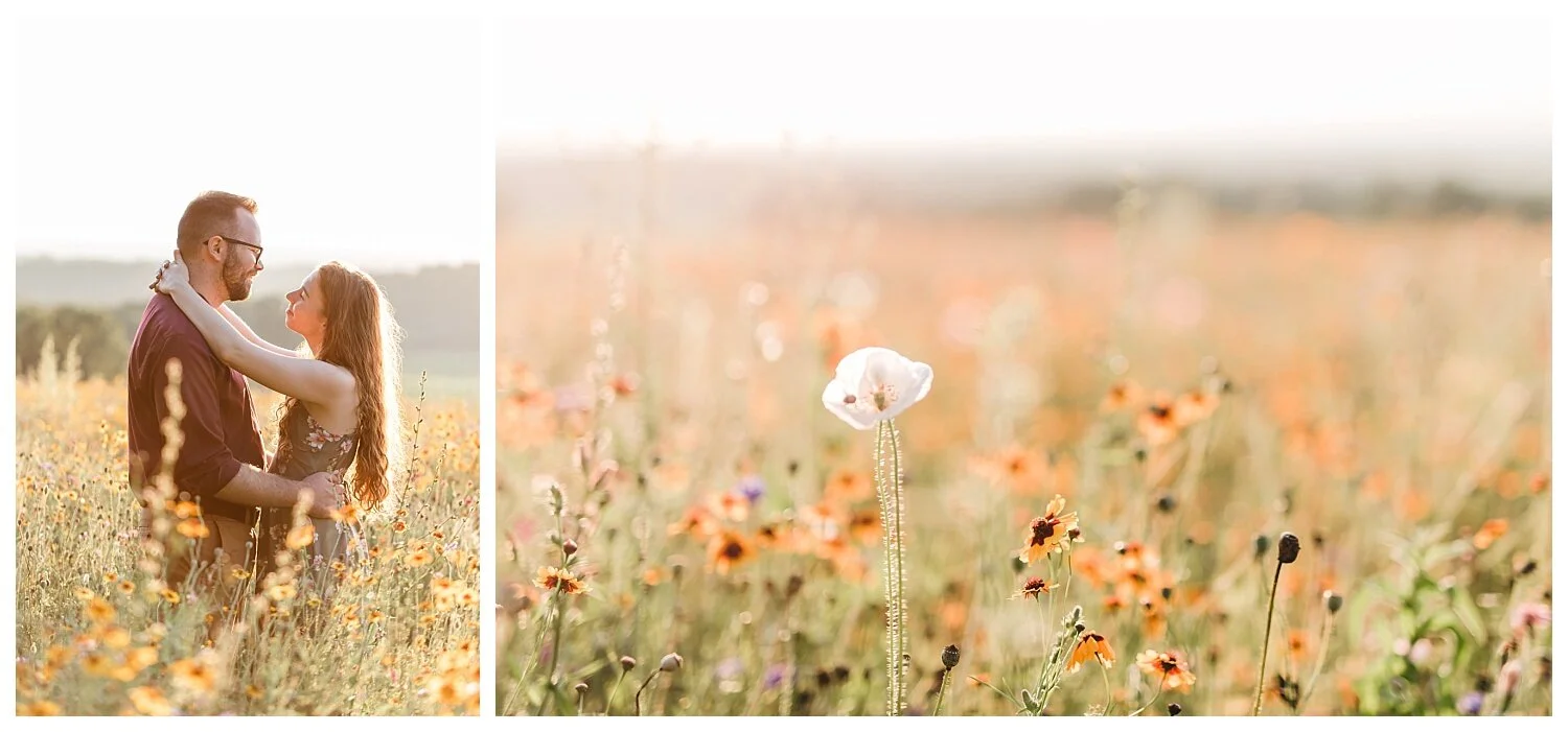 Wildflower Lookout, Ronks, PA, engagement session