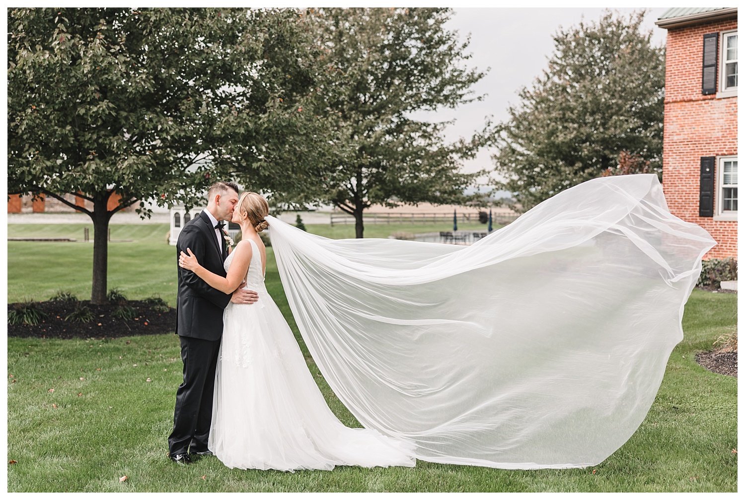 Springside Barn wedding, bride and groom, veil toss