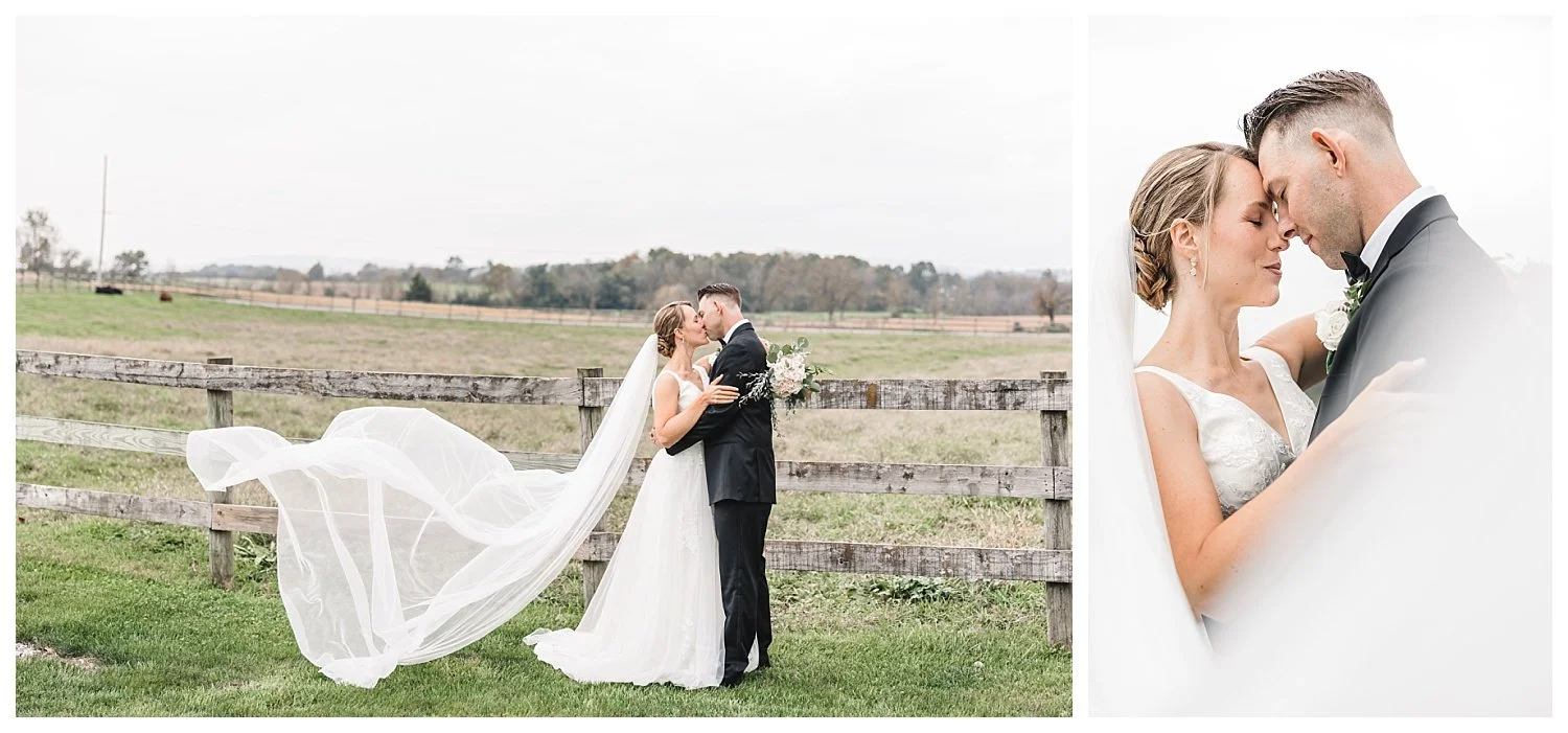 Springside Barn wedding, bride and groom, veil toss