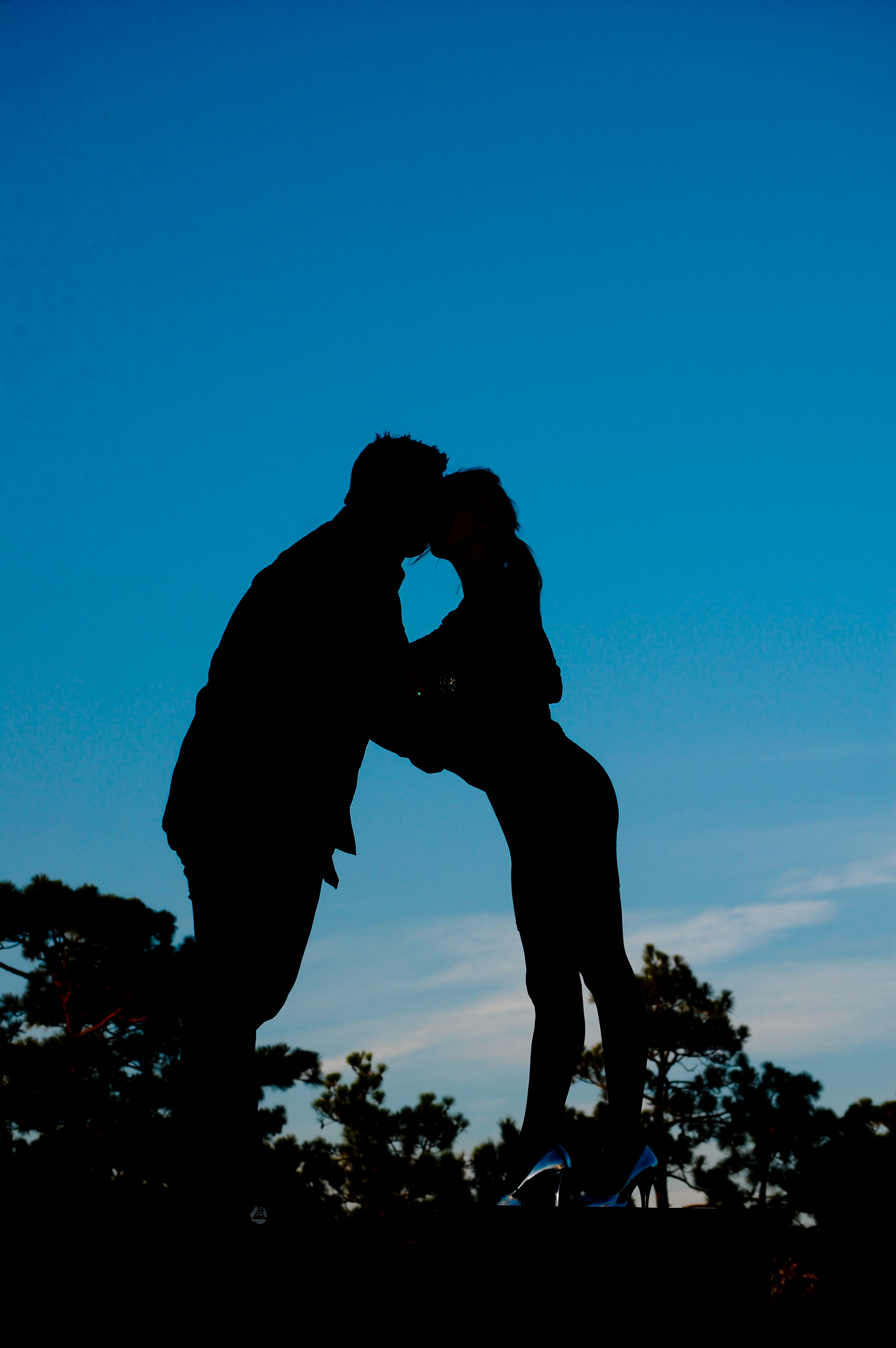 Engagement silhouette at Cameron Art Museum in Wilmington, NC