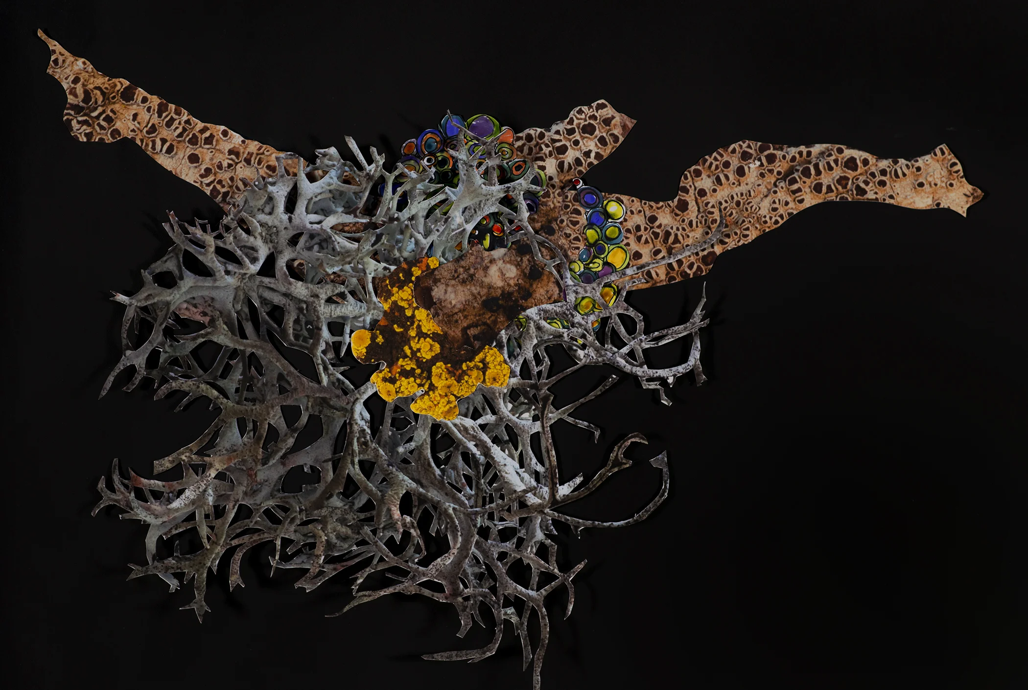 Artificial Lichen Colony #5