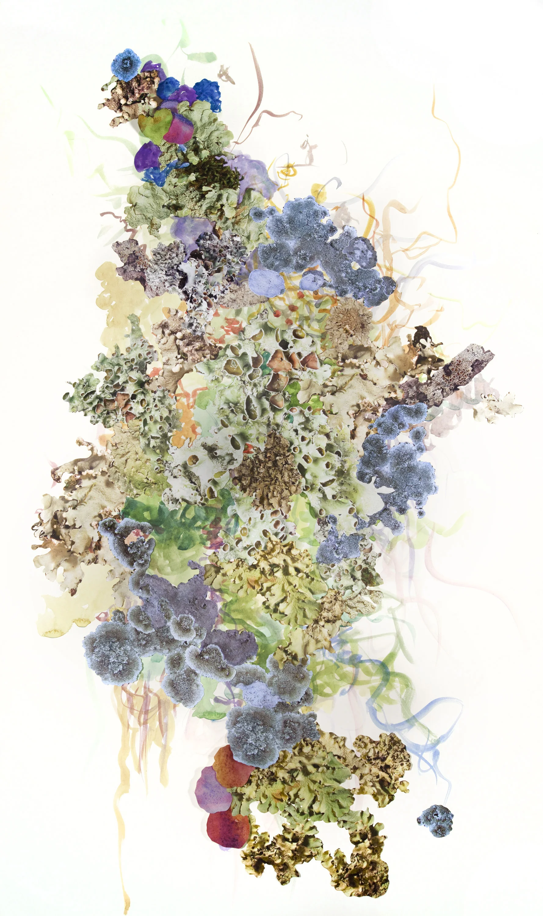 Artificial Lichen Colony Collage #3