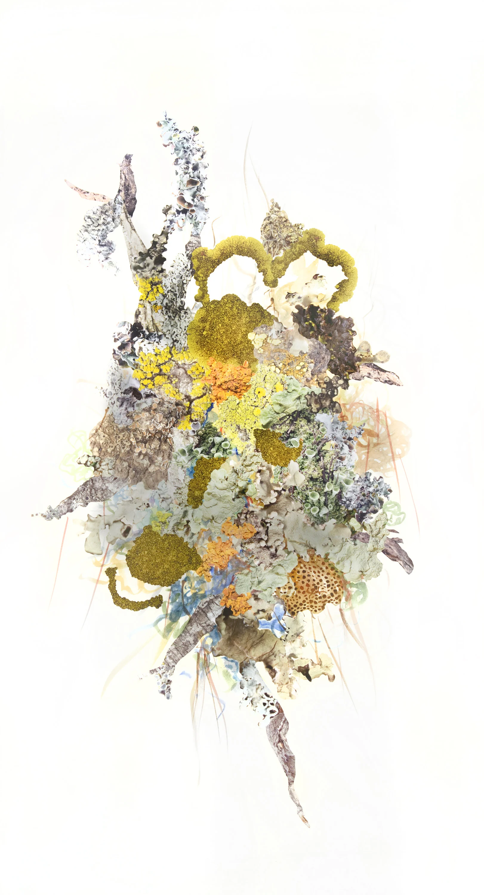 Artificial Lichen Colony Collage #2