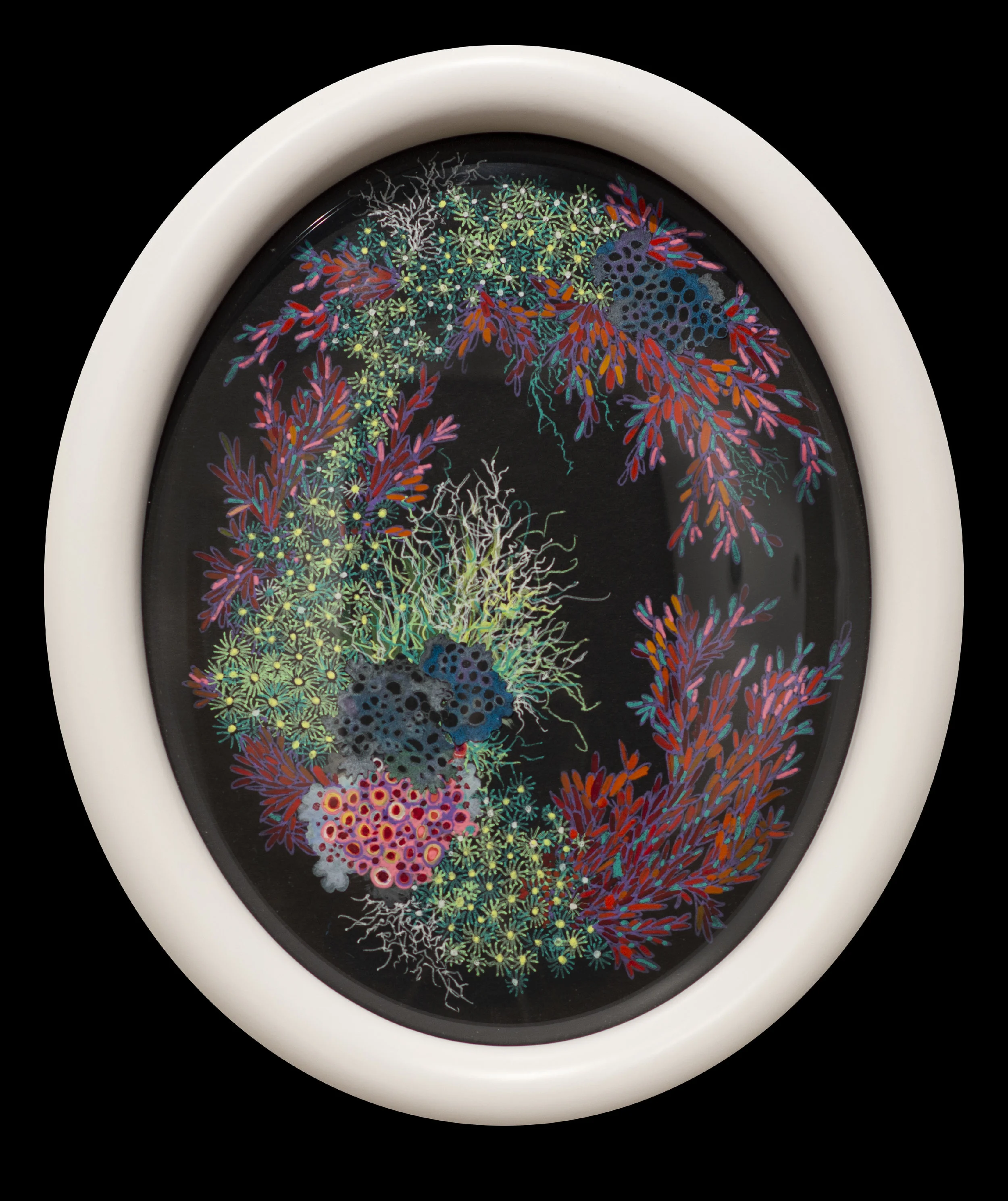 Still Life with Cillium