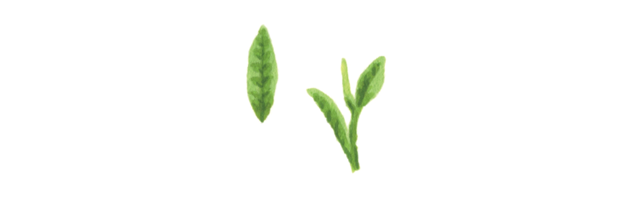 kojoato_illust_leaf.jpg