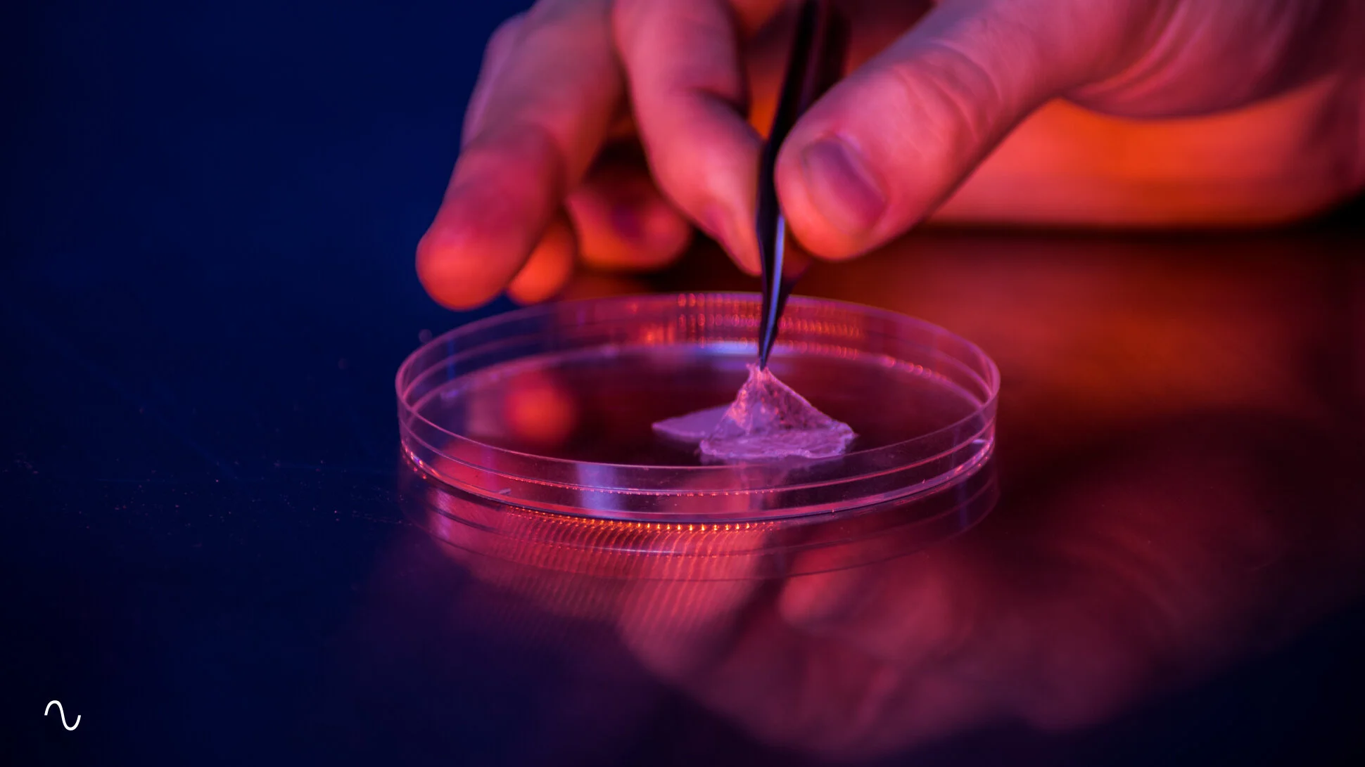 hydrogel fixation
