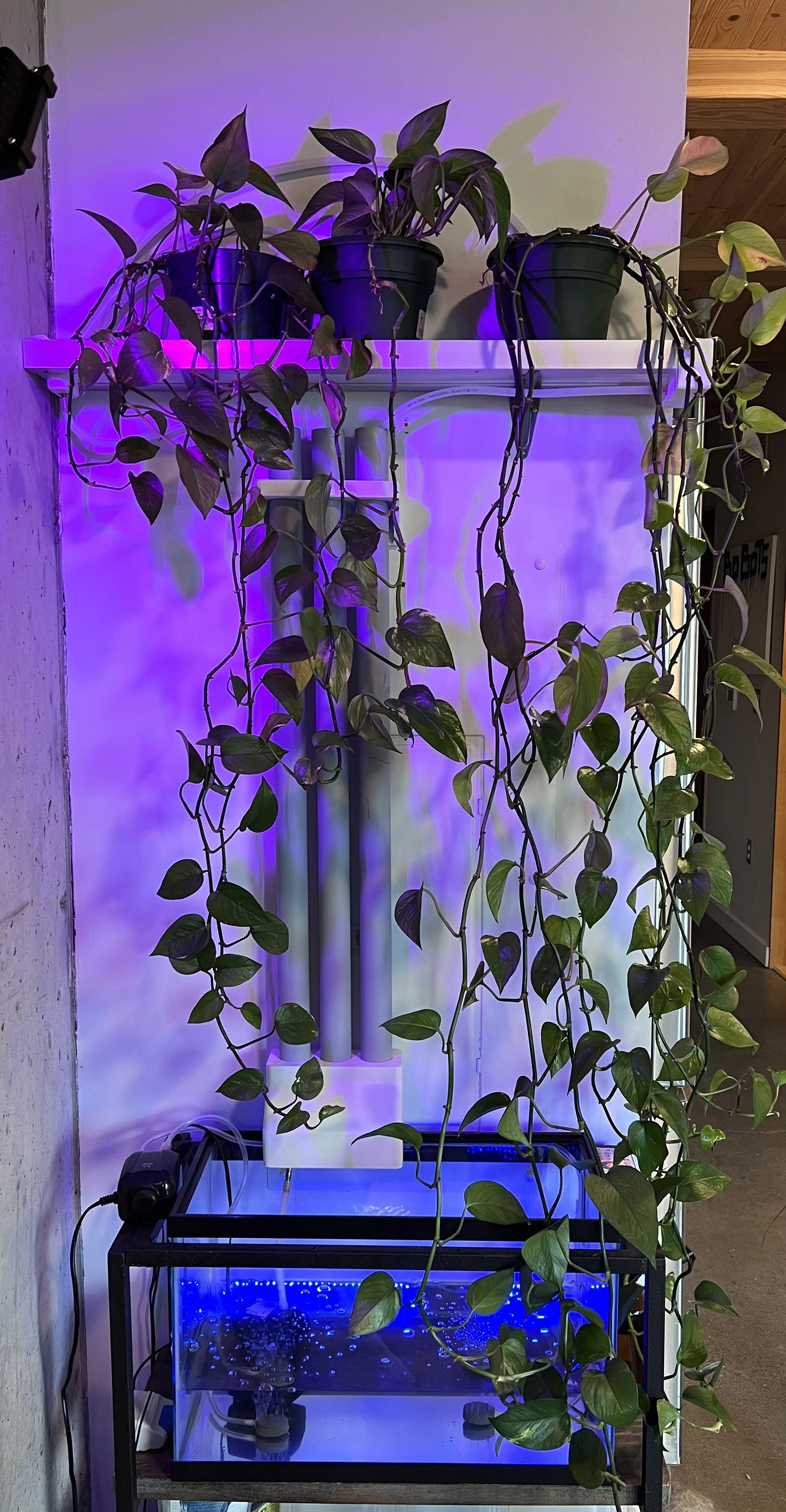 Home Hydroponics System