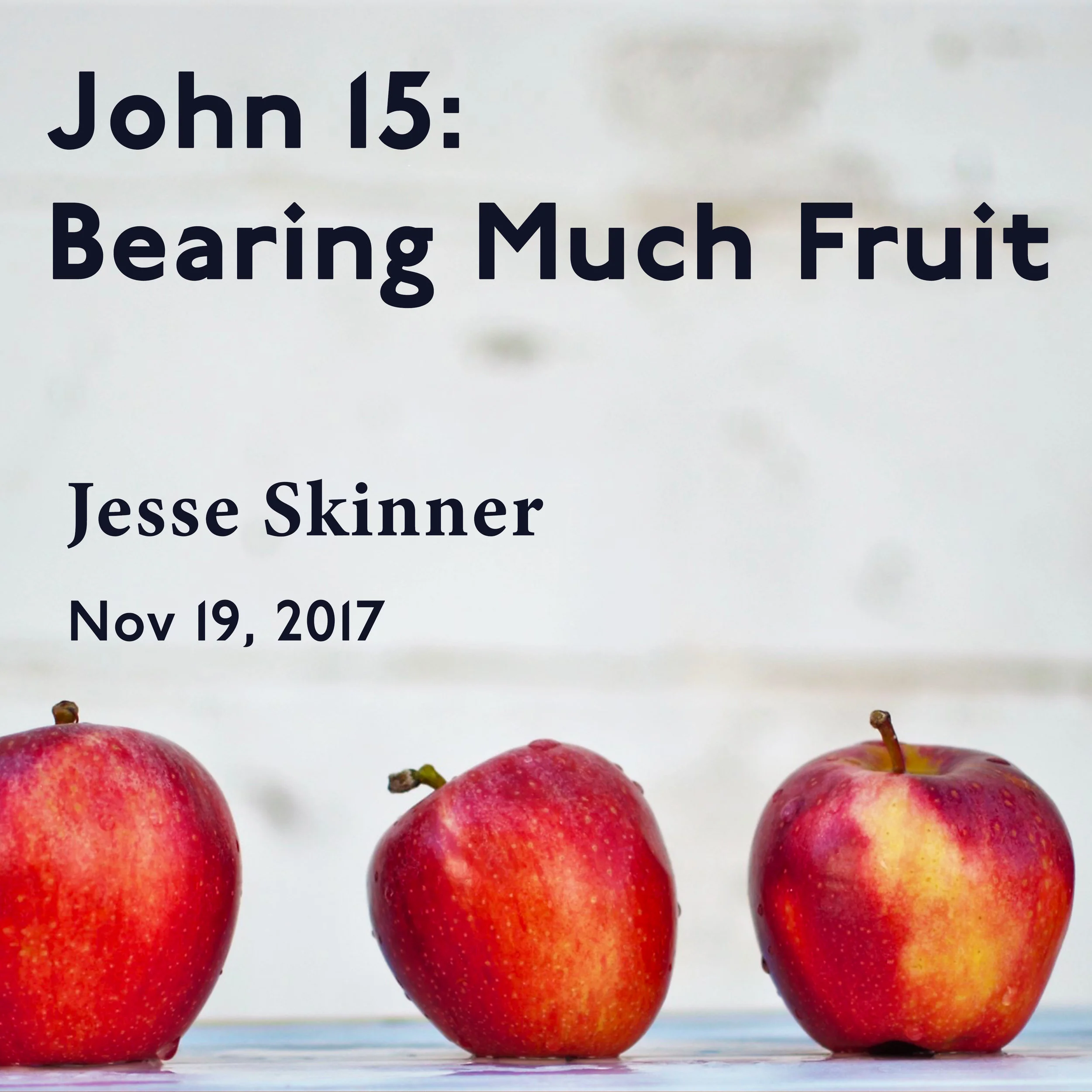 John 15: Bearing Much Fruit!