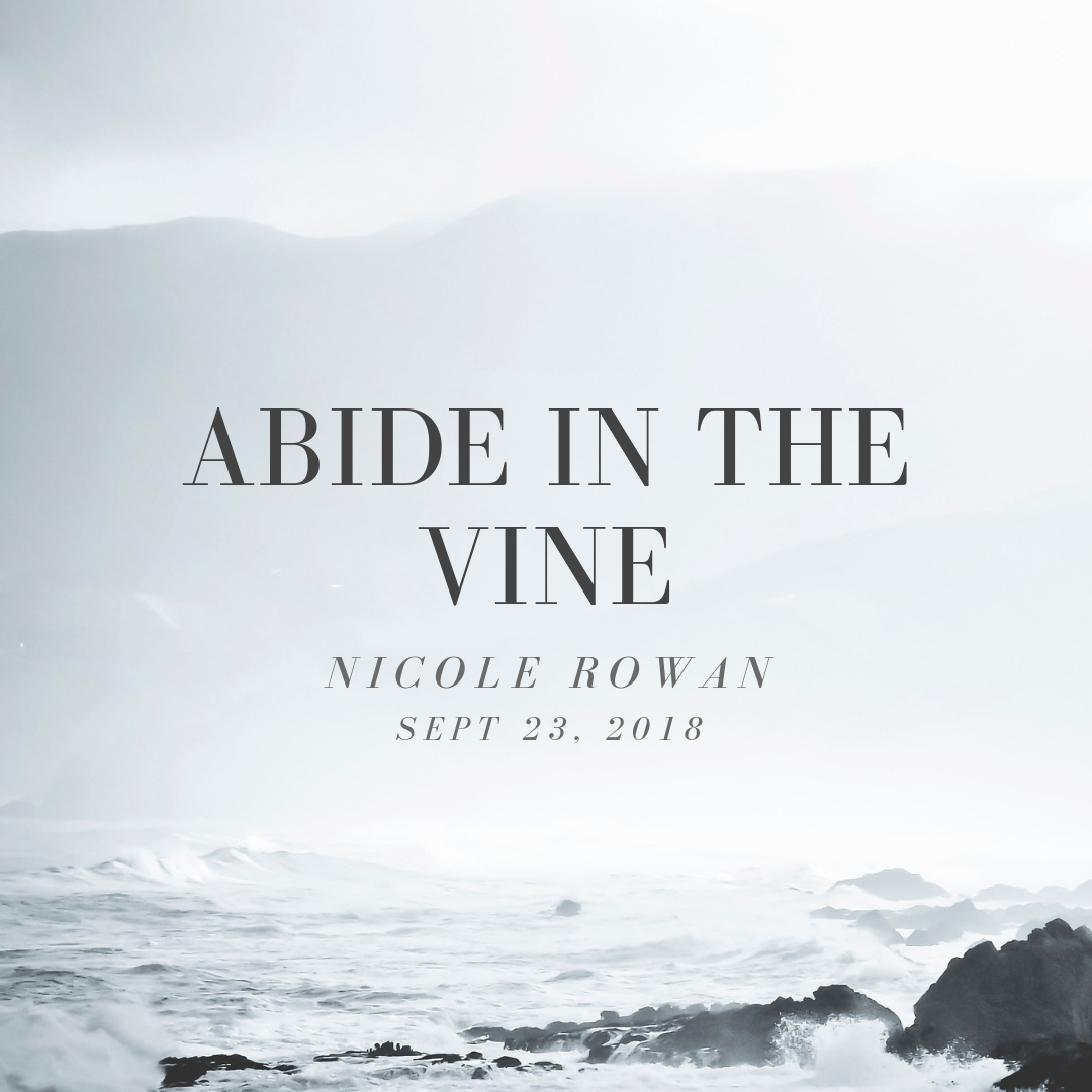 Abide In The Vine.png