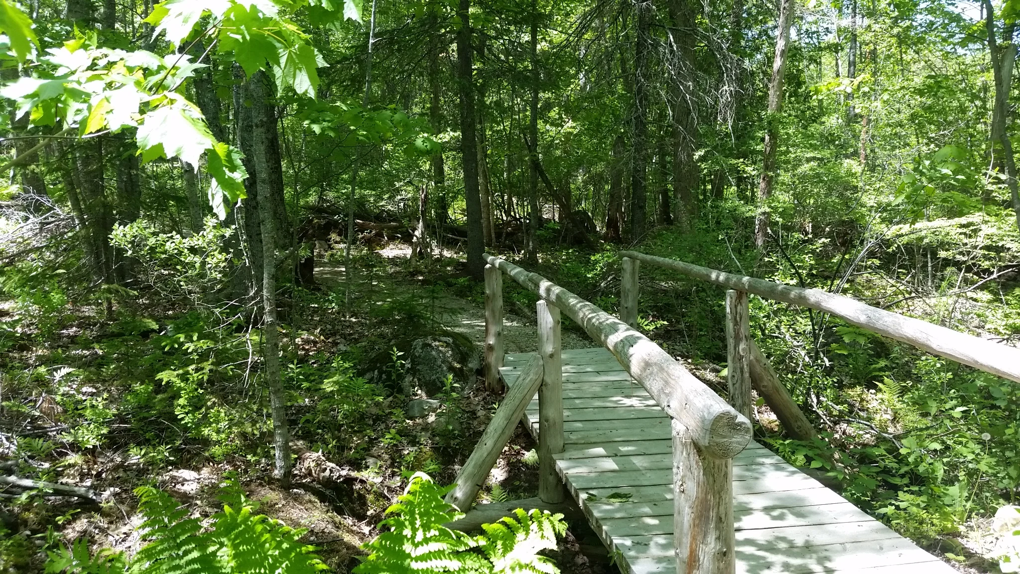 Town-of-Blue-Hill-walking-trail-BHHT.jpg