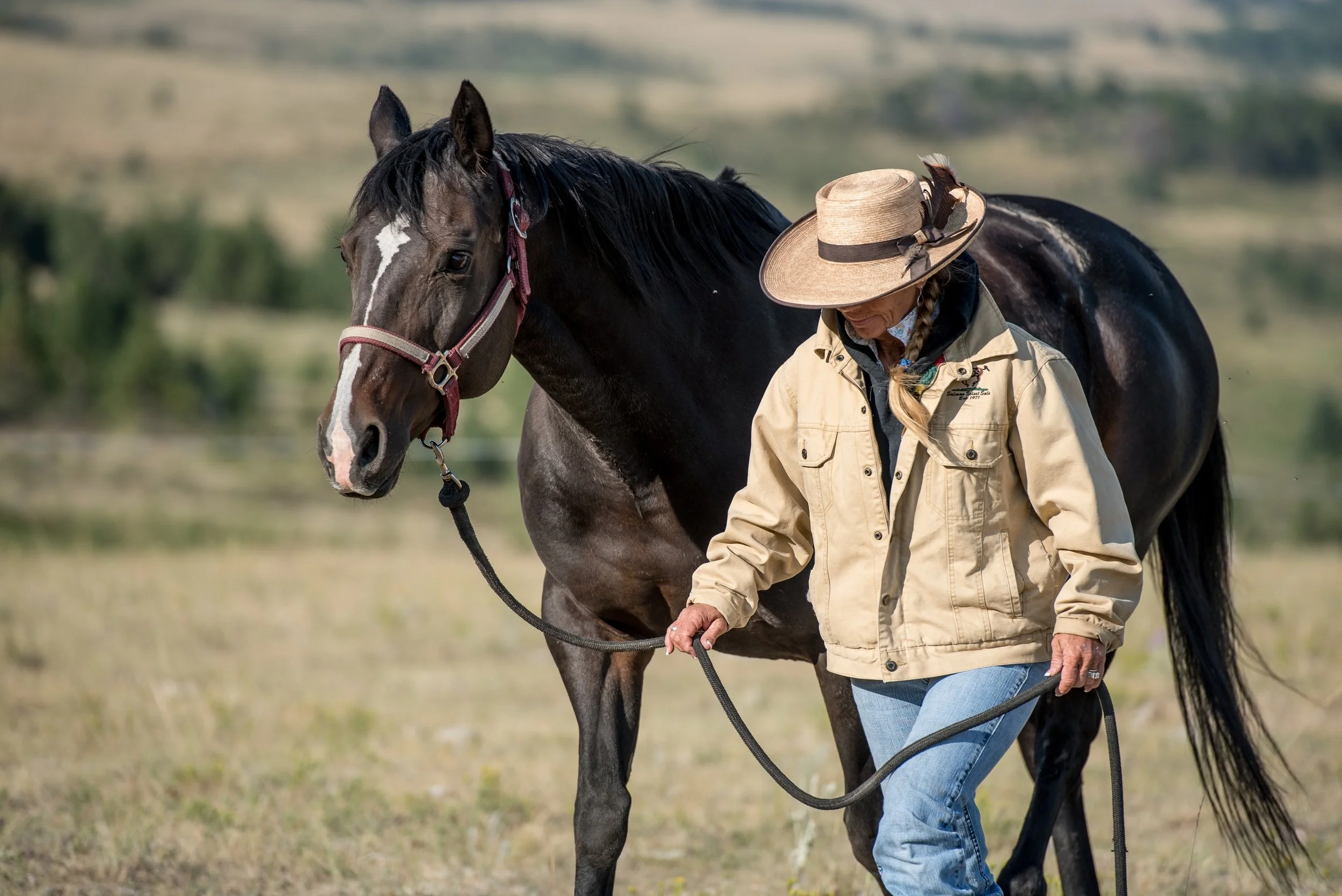 Horseback activities and riding in Montana