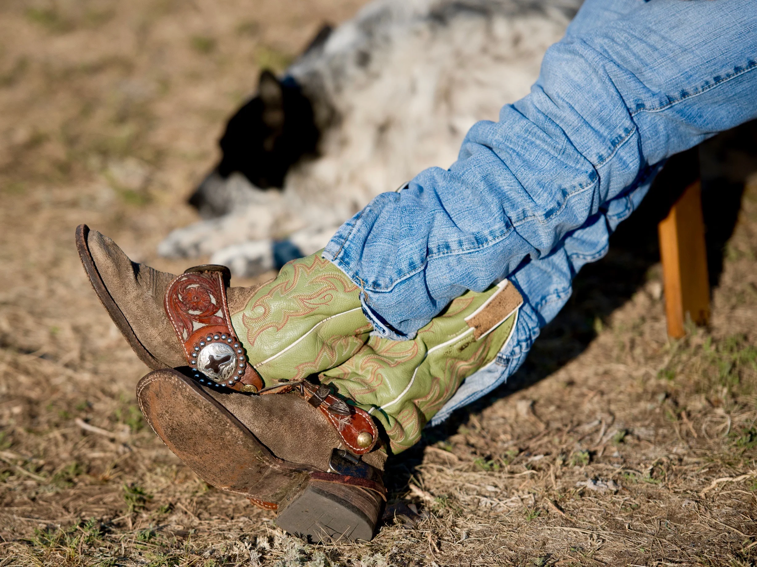 Adventure Cowgirl Camp for Women