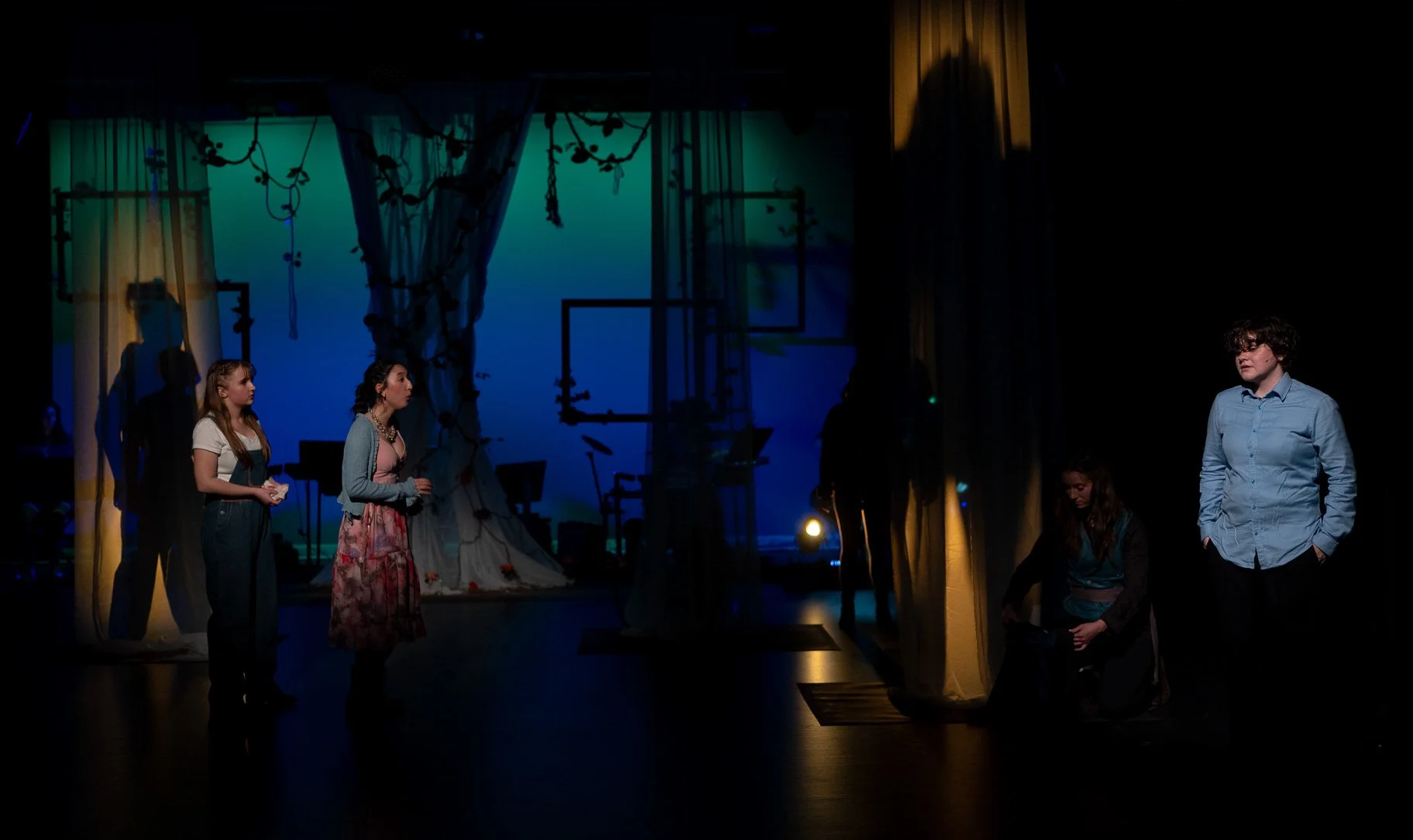 As You Like It Cam 2 - 01746-2.jpg