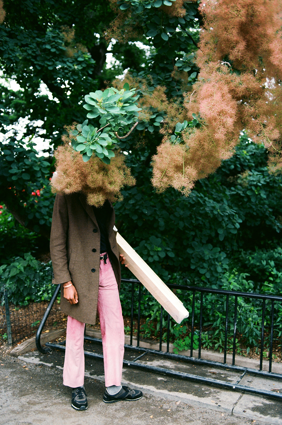 Sisson behind a Smoke Tree. 2016