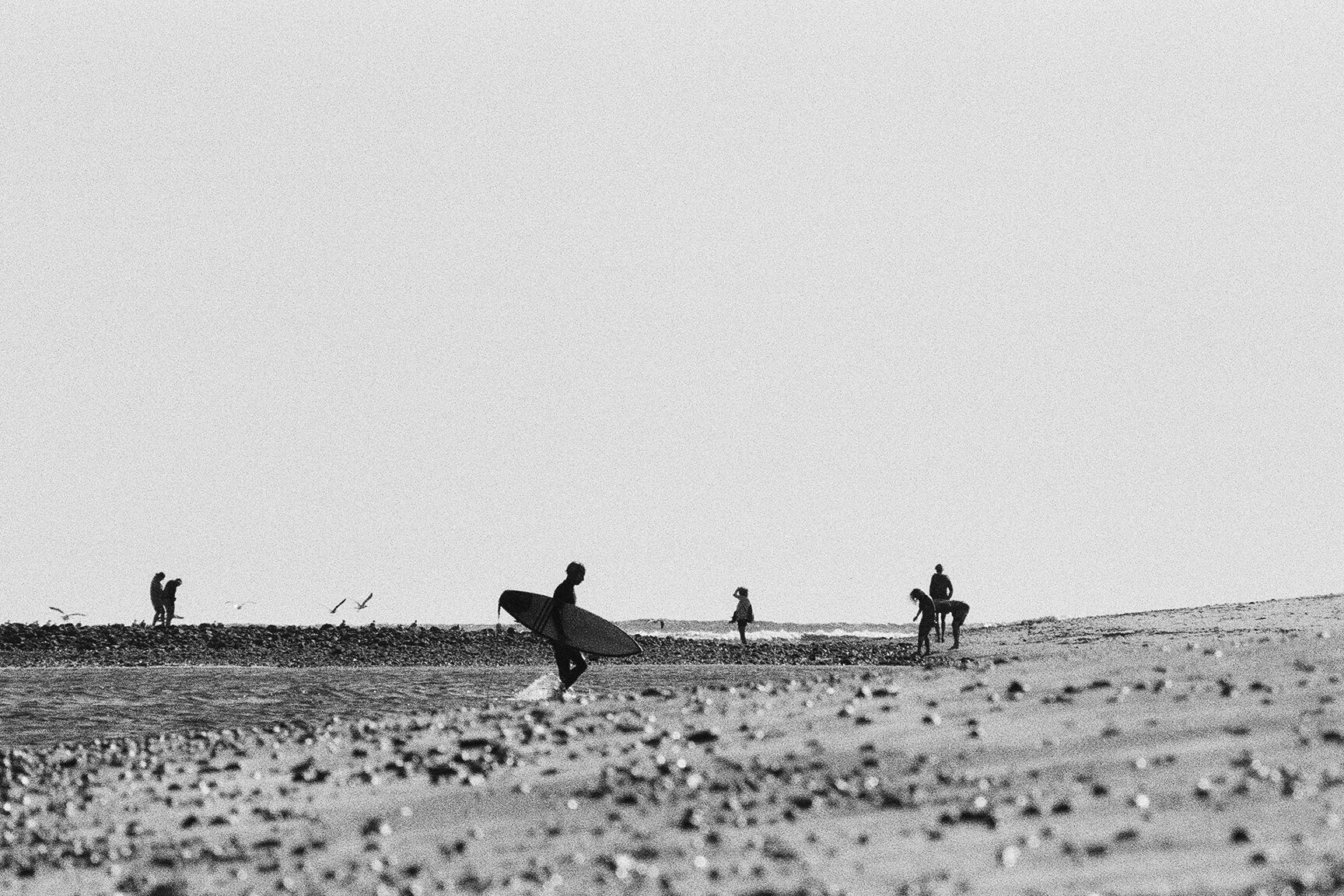 Short boarder profile_Ilford 3200_0008.jpg