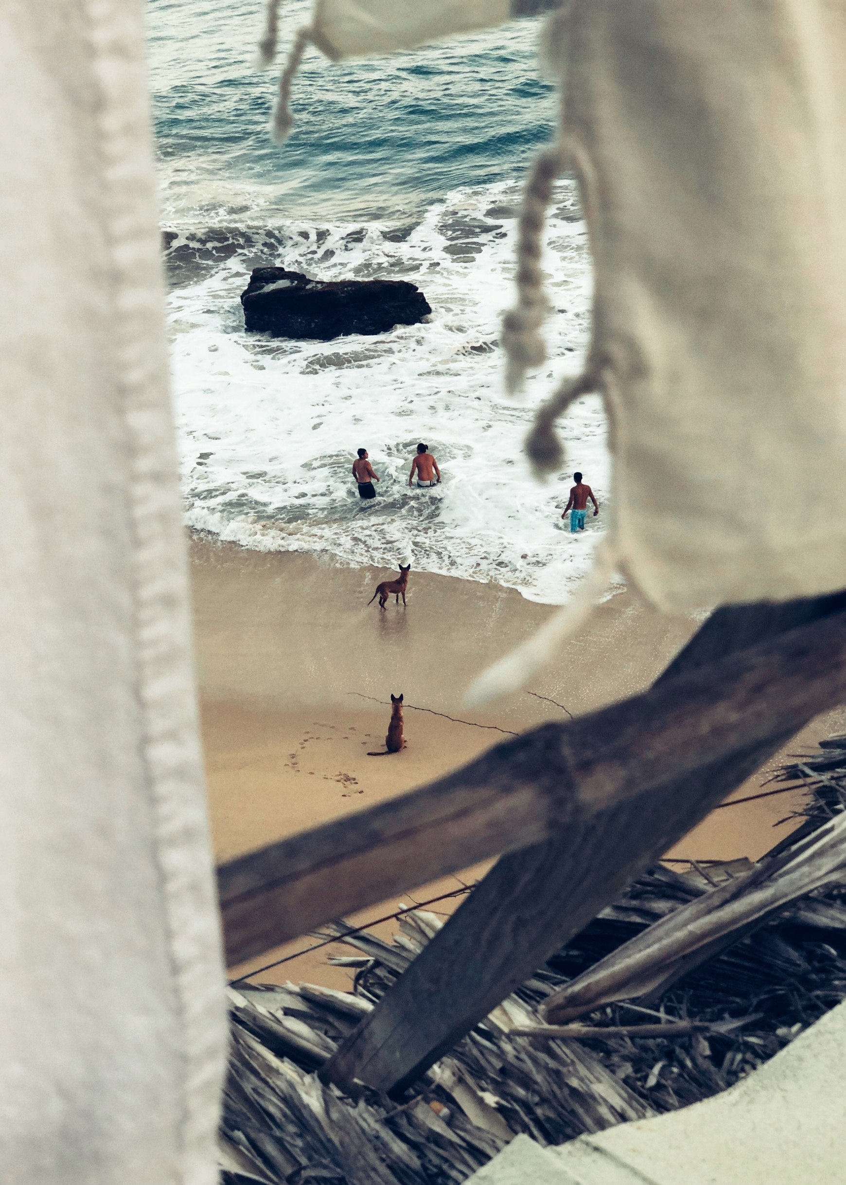 Mexico Beach Window