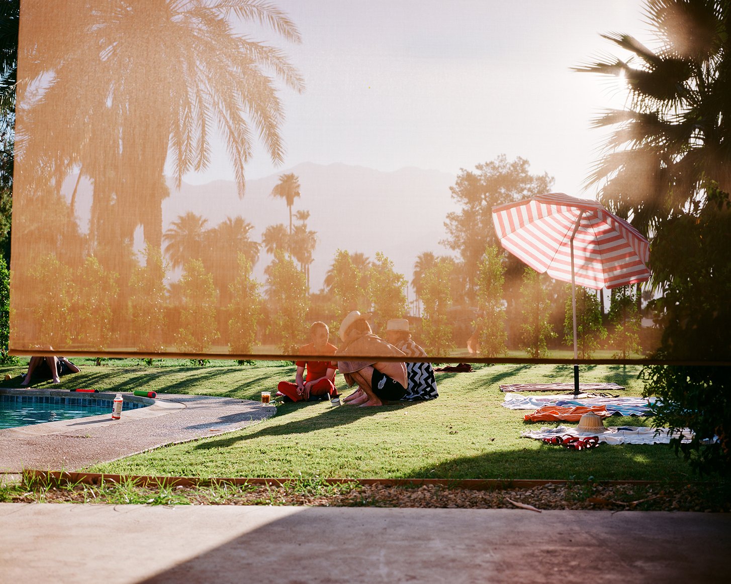 Palm Springs Veil