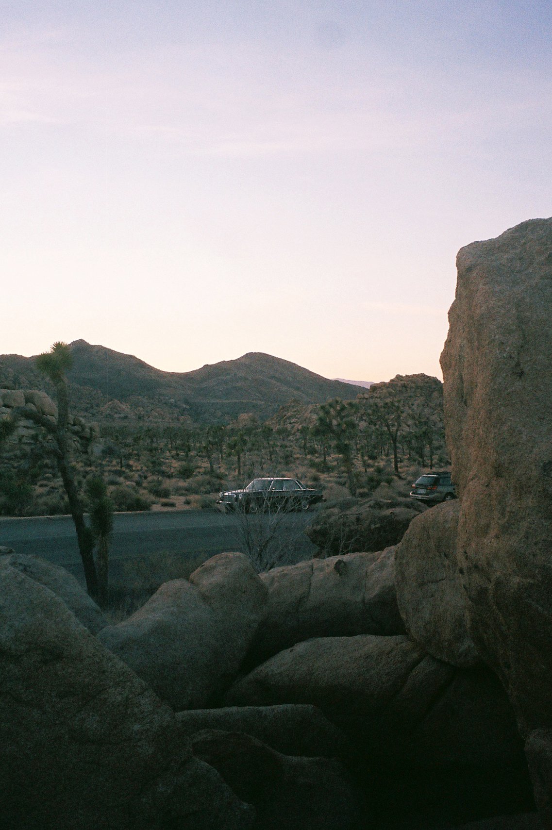 Sweet Thing in Joshua Tree_nb_201401_009A.jpg