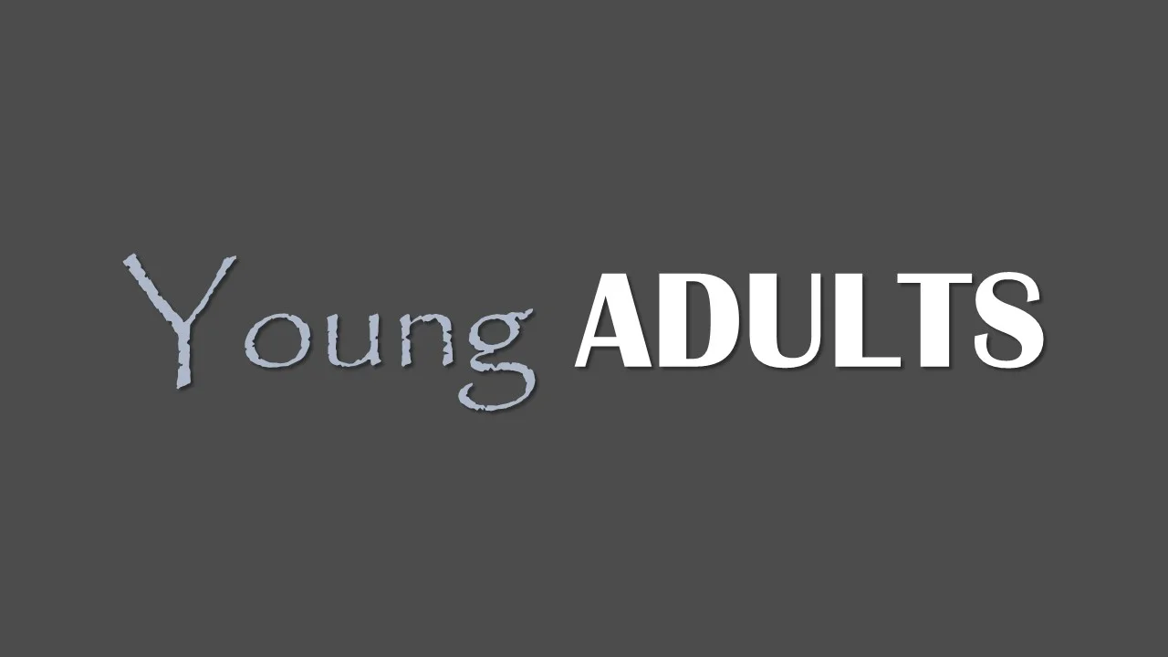 YA Banner 2.jpg
