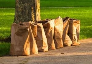 Fall Leaf Disposal Guide