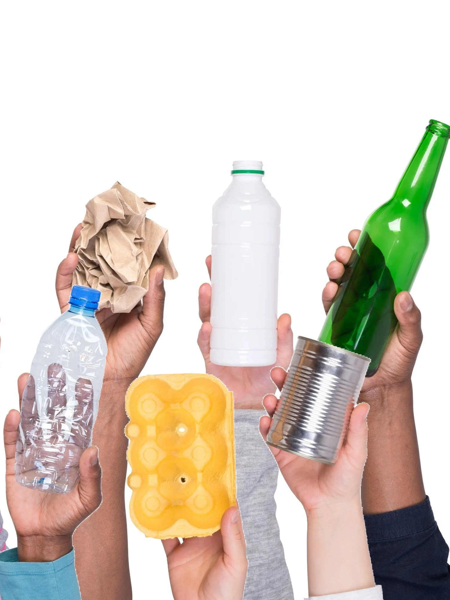 Fall 2024 Newsletter