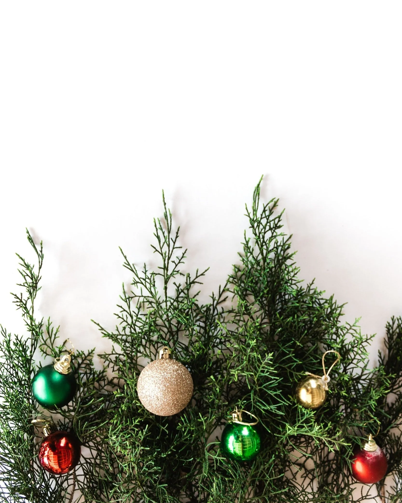 Winter 2022 Newsletter