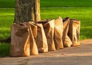 Bagged leaves.jpg