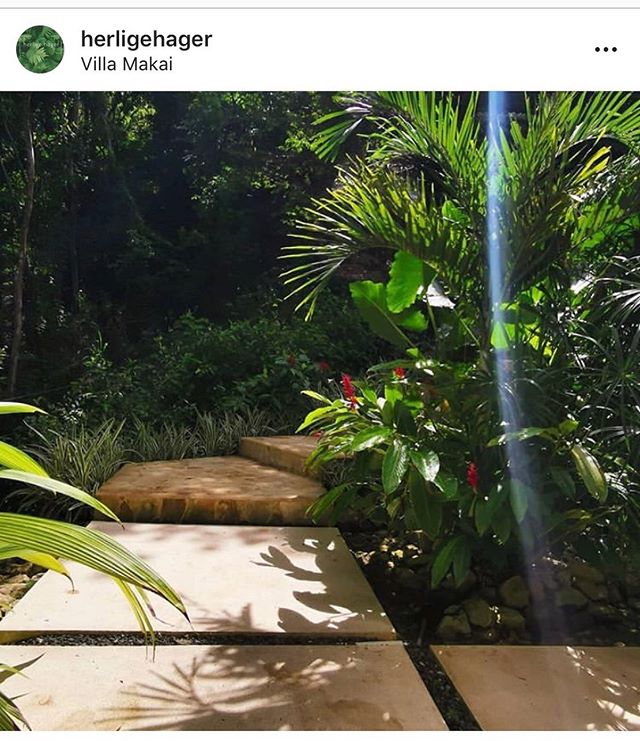 When your guests are happy and they show it! We are so thankful to always have such wonderful people staying with us! Thank you @herligehager we hope to see you again very soon! 💚