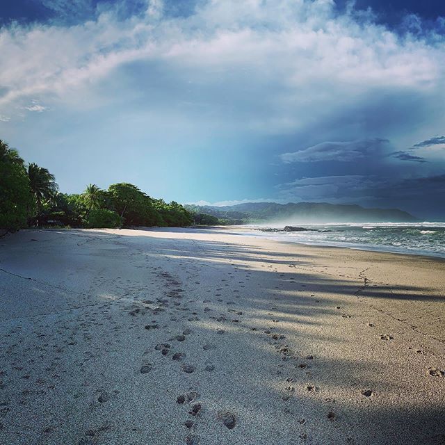 Early morning in green season 💚 oh how we love this kind of the year! #emptybeach #peace #purenature #green #jungle #ocean #bless #passion #costarica #santateresa #vacationrental #villamakai