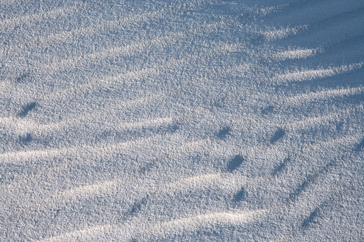 White Sands #25