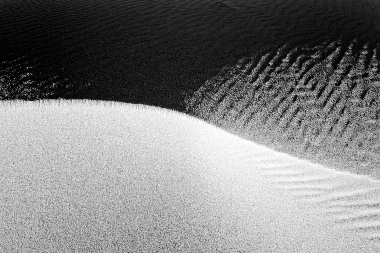 White Sands #13