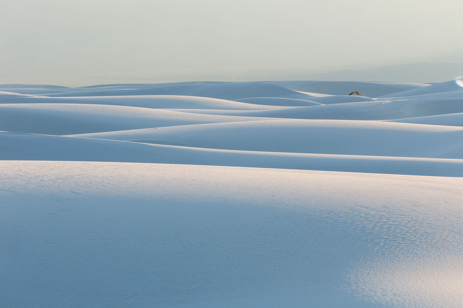 White Sands #26