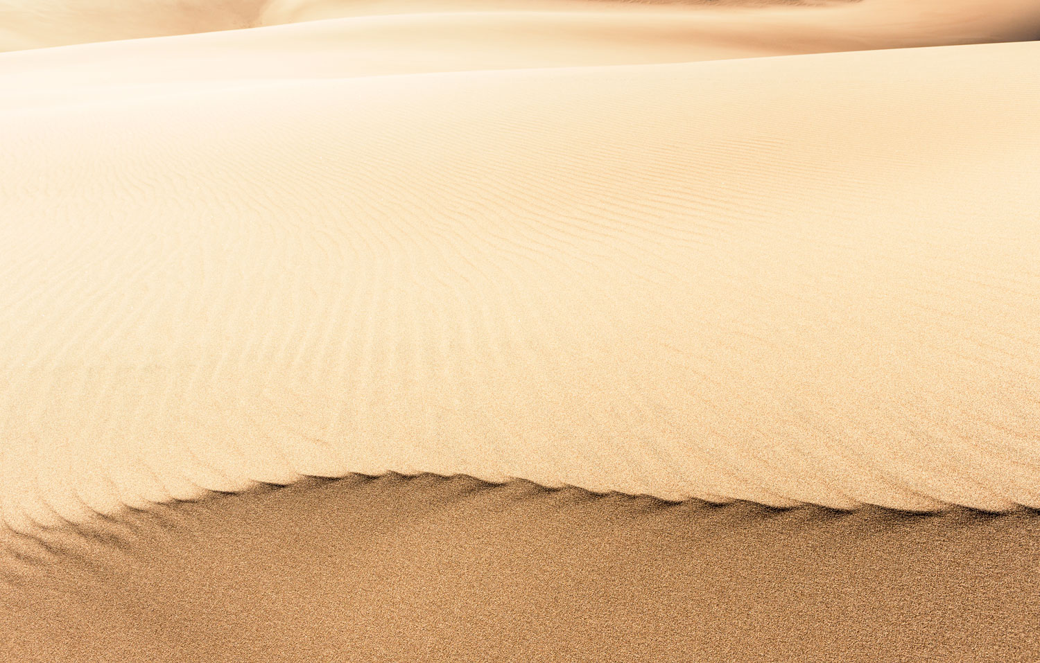 Curvature. Great Sand Dunes National Park, CO