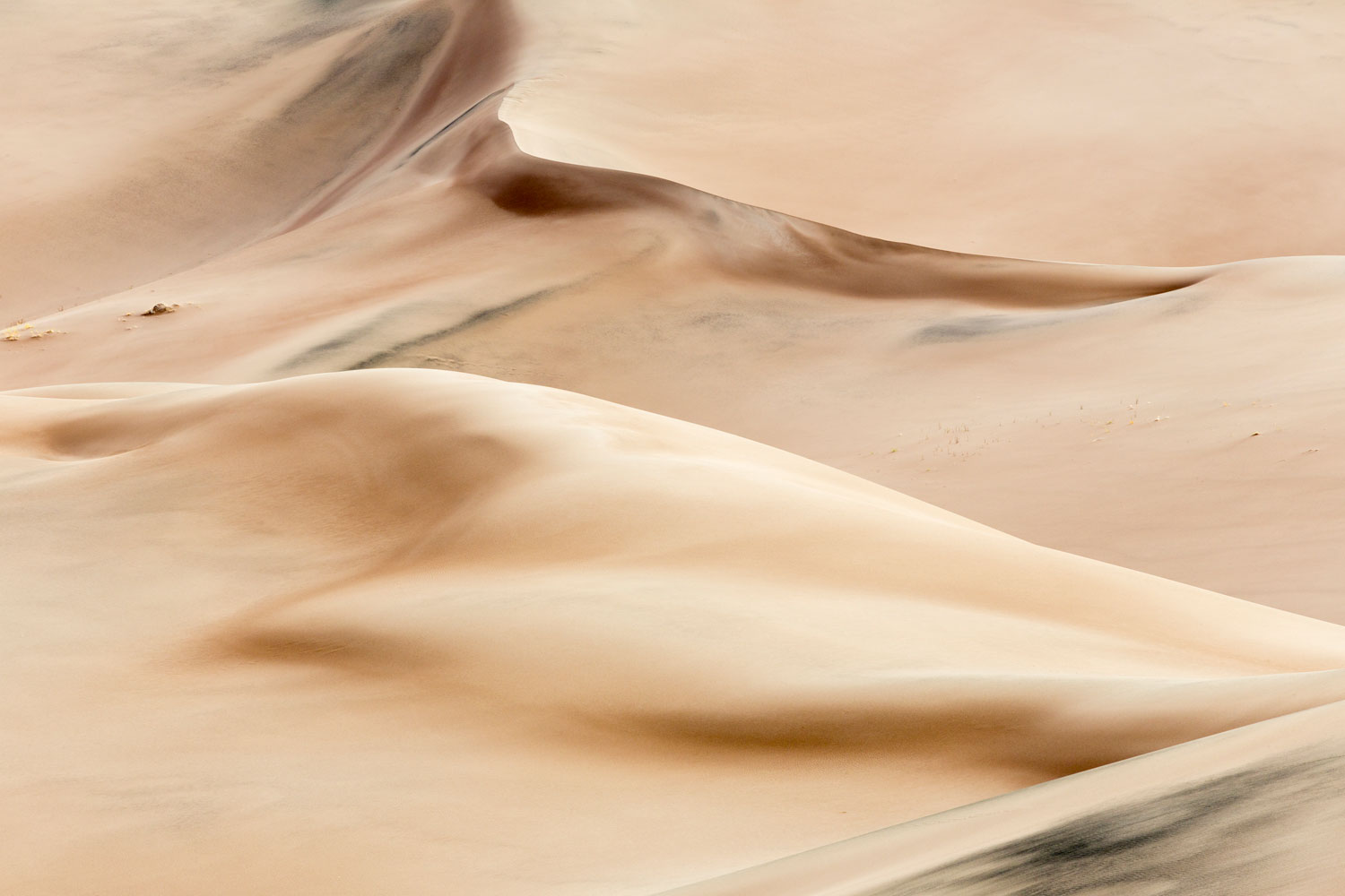 Great Dunes #21