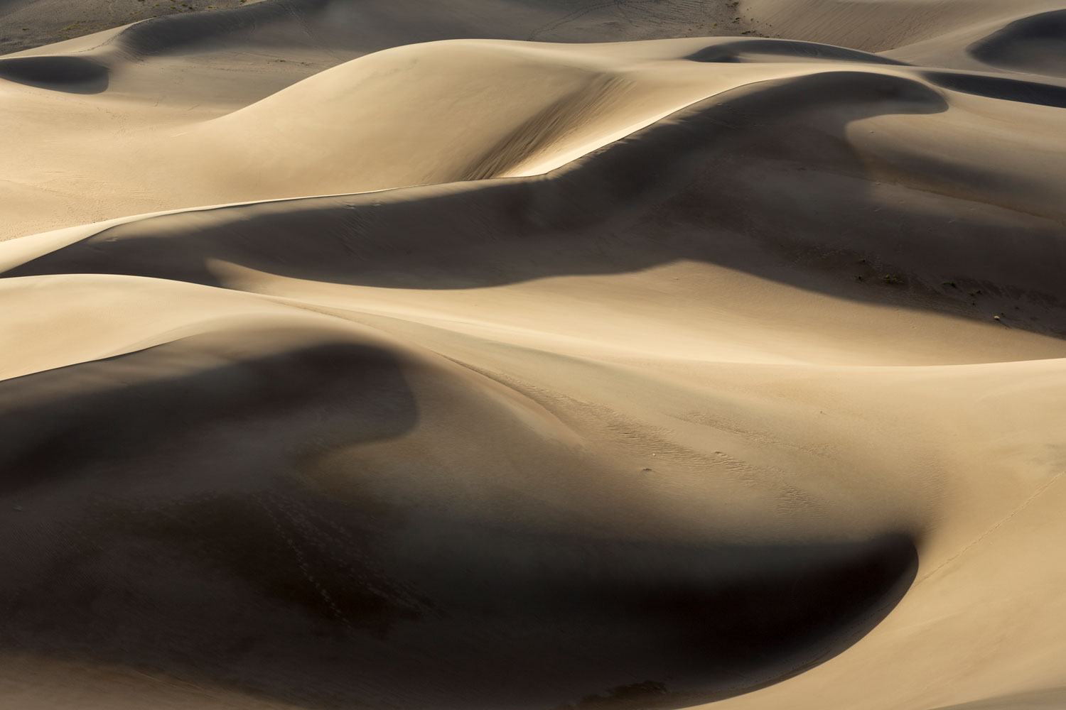 Great Dunes #22