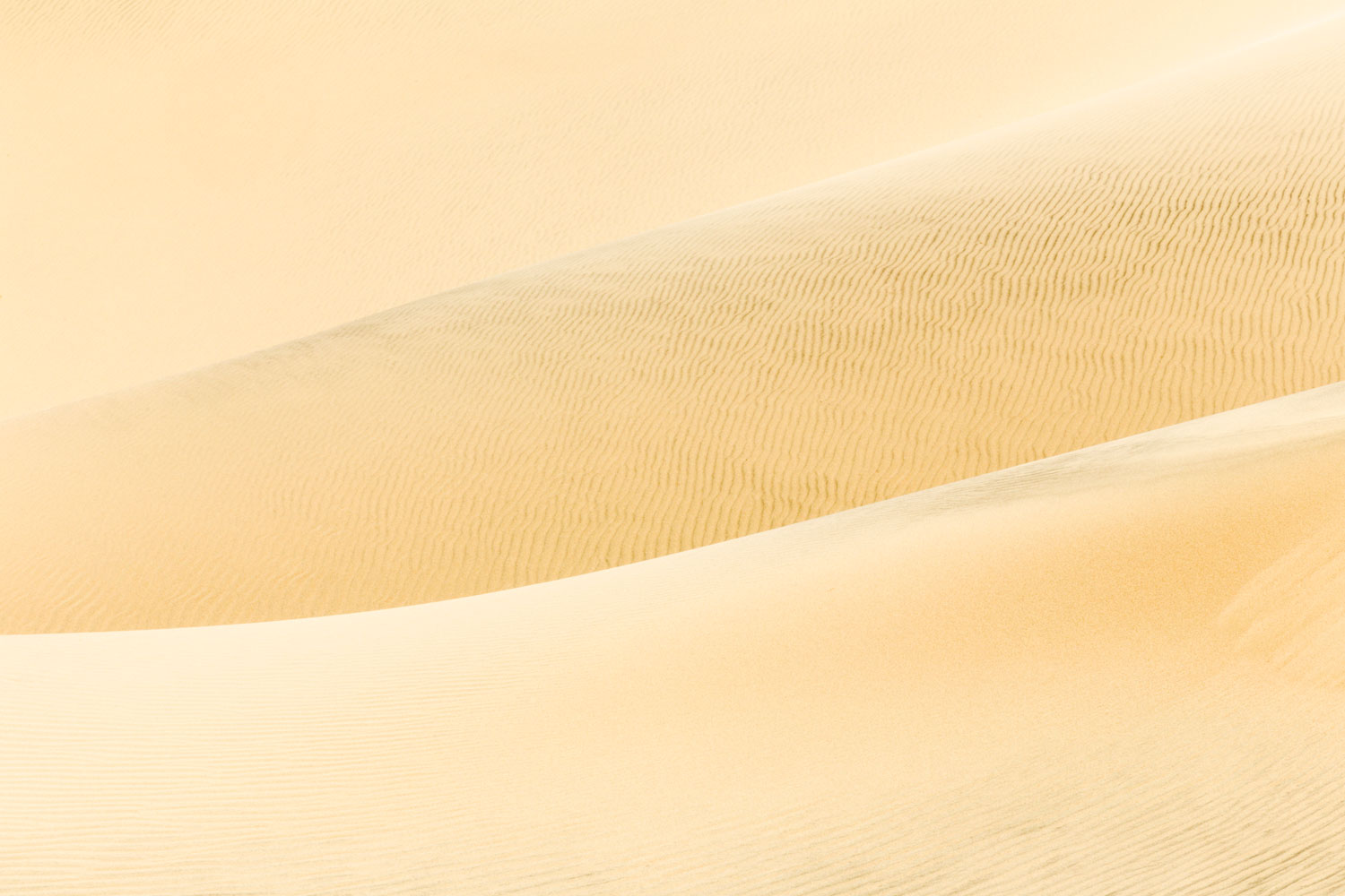 Dune Layers. Death Valley National Park, CA