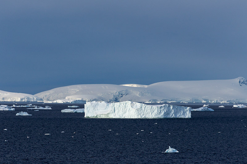 Icebergs. Neko Harbor, Antarctica