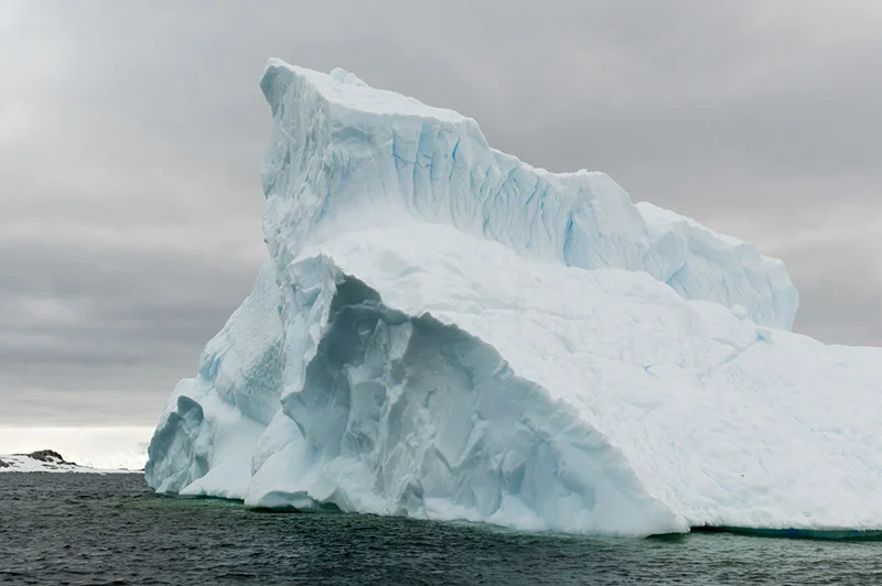 Iceberg. Arctowski Peninsula, Antarctica