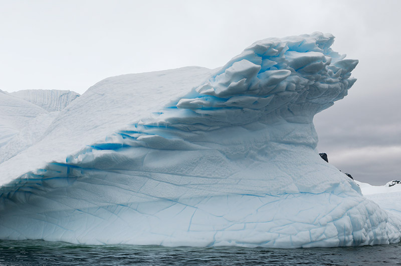 Iceberg. Arctowski Peninsula, Antarctica
