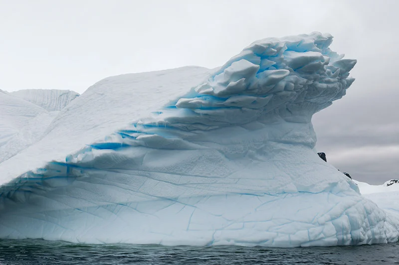Iceberg. Arctowski Peninsula, Antarctica