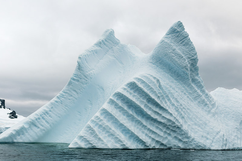 Ice Fins. Arctowski Peninsula, Antarctica