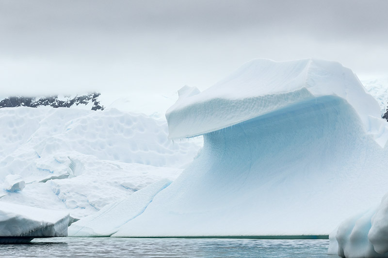 Ice Wave. Arctowski Peninsula, Antarctica