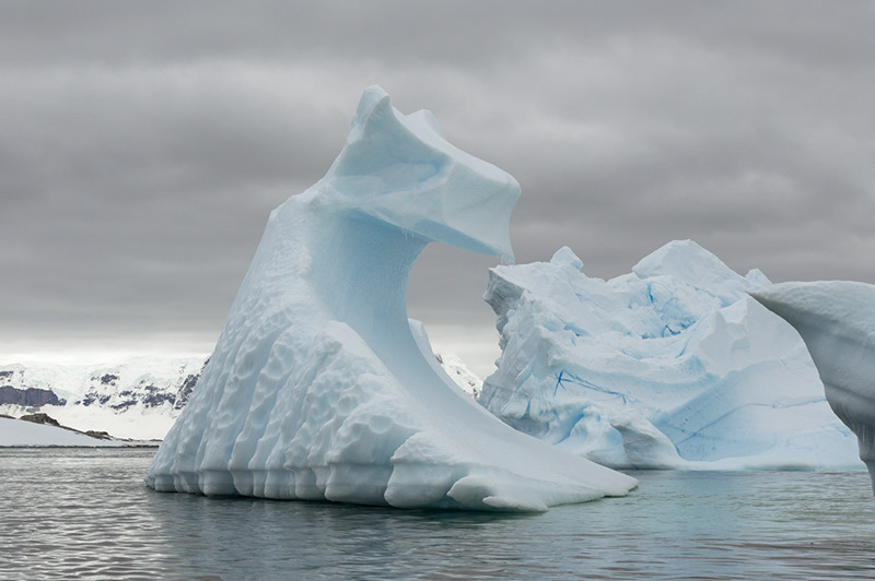 Sculpted Icebergs. Arctowski Peninsula, Antarctica