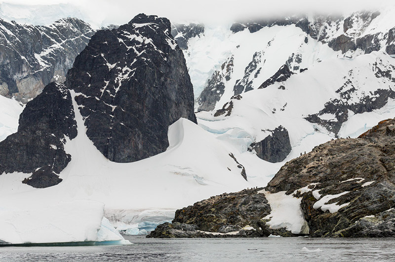 Approaching the Penguin Rookery on Cuverville Island. Antarctica