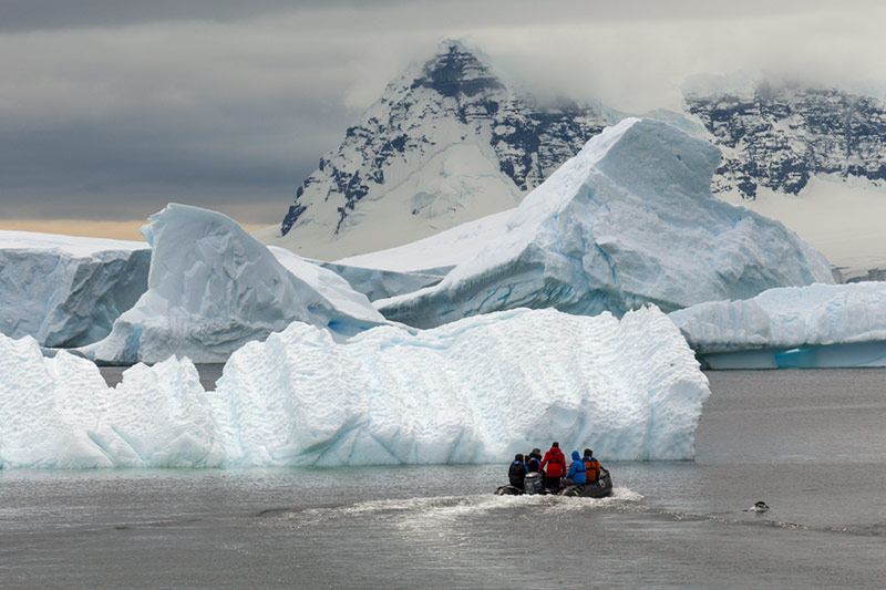 Zodiac Leaving the Rookery. Cuverville Island, Antarctica
