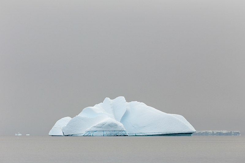 Iceberg in Fog. Arctowski Peninsula, Antarctica