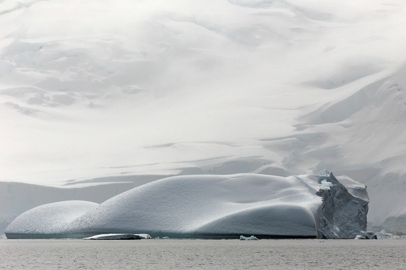 Iceberg at Rest. Dallmann Fjords, Antarctica