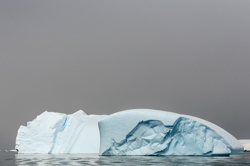 Icebergs in the Fog. Dallmann Fjords, Antarctica