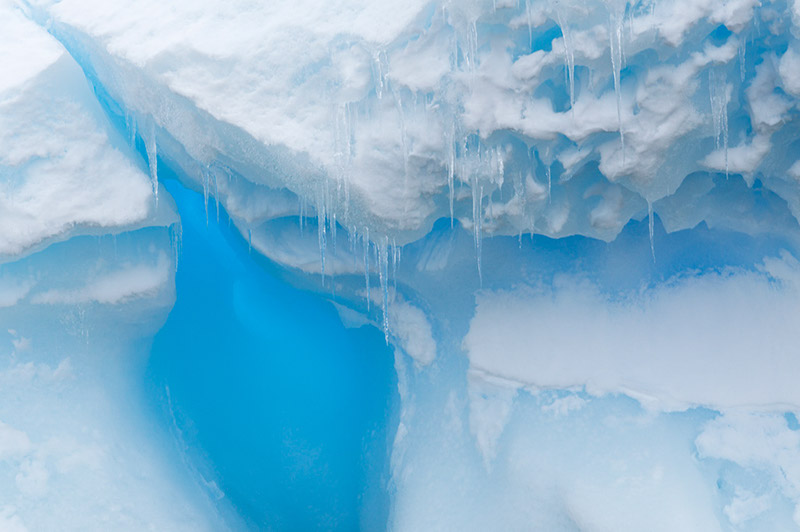 Glacial Ice Detail. Dallmann Fjords, Antarctica