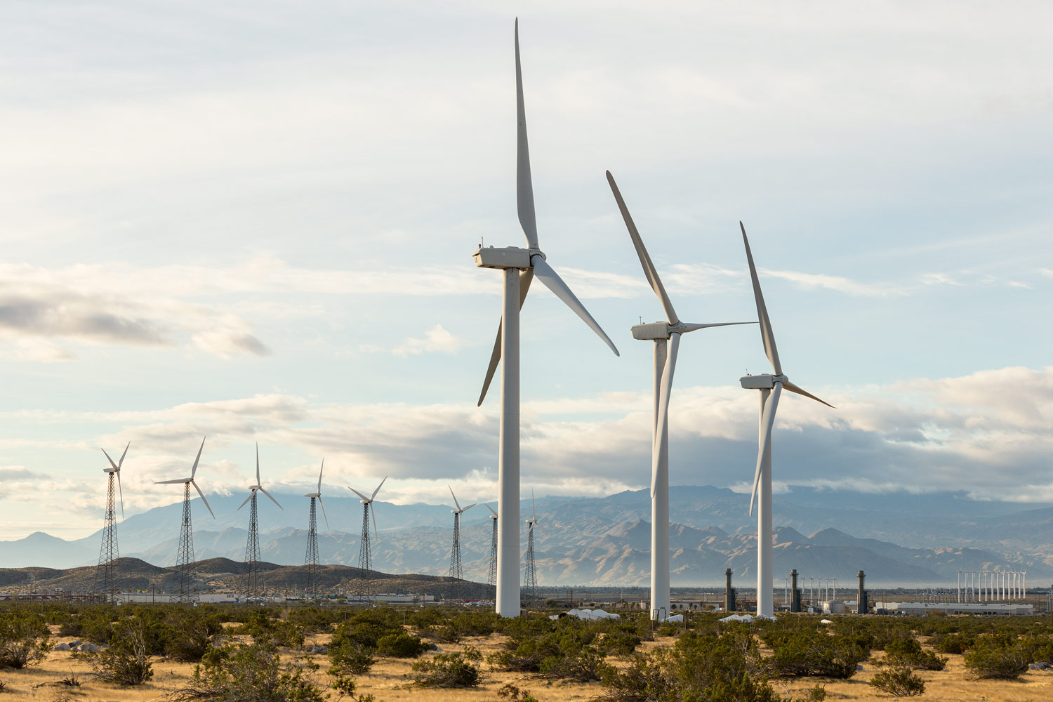  San Gorgonio Pass Wind Farm. Palm Springs, CA. Study #5. 2018 (GPS N/A)